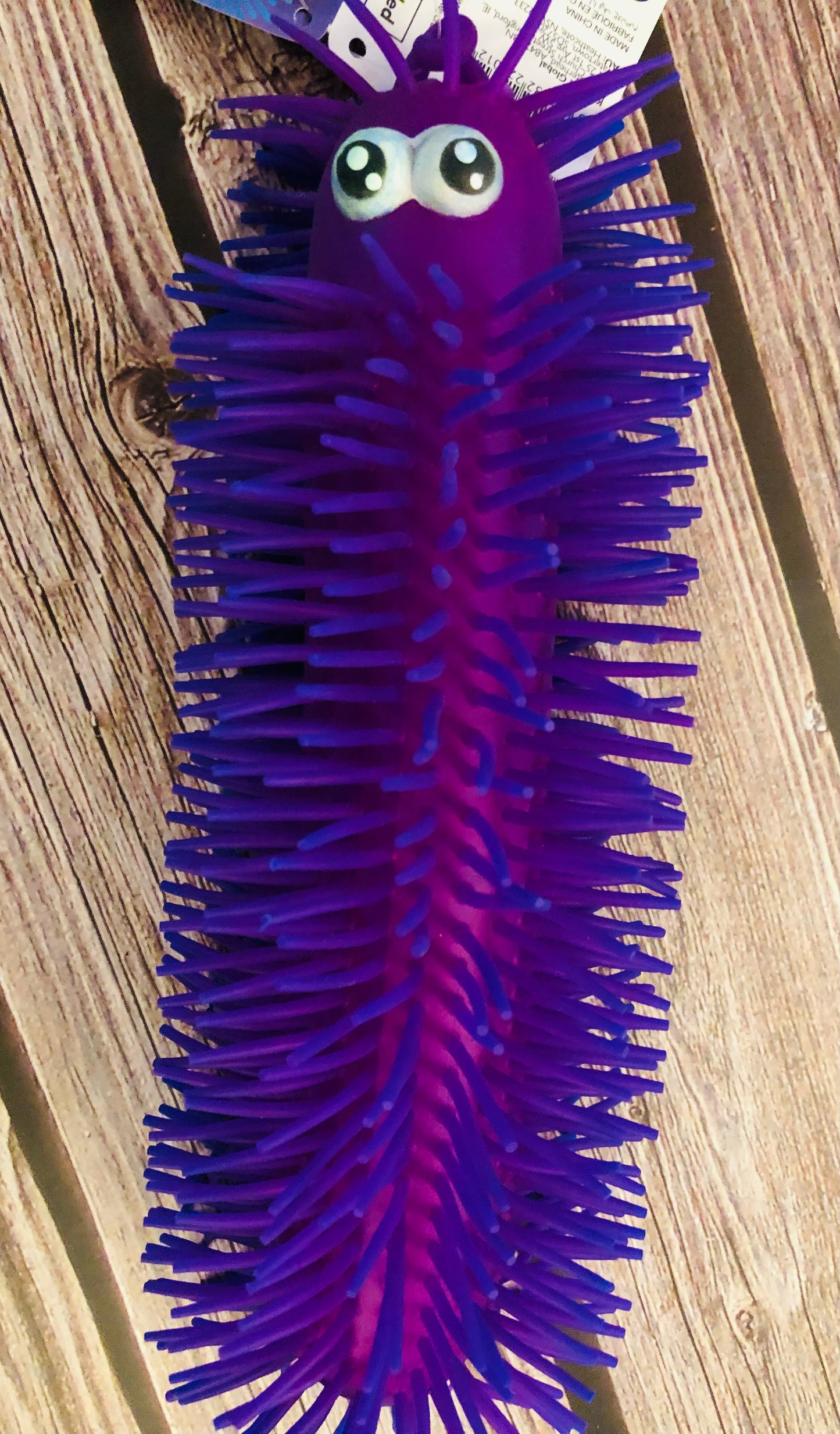 Large puffer caterpillar