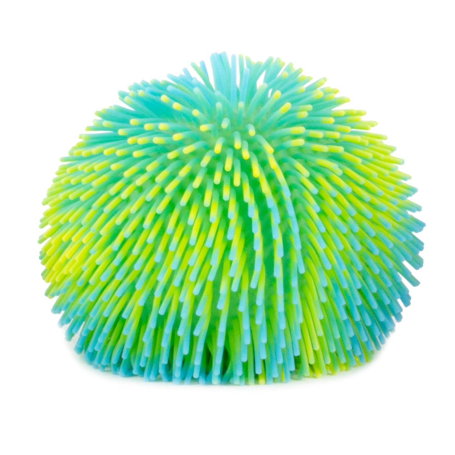 Large Puffer Sensory Ball